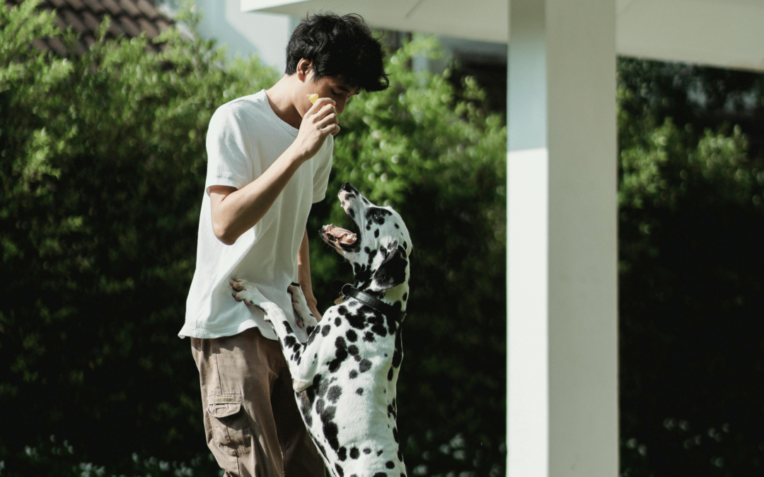 How to Stop a Dog from Jumping on You