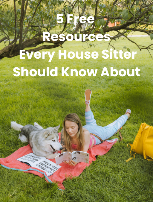 Enjoying a Free Day in the Park: A House Sitter's Peaceful Moment with a Dog