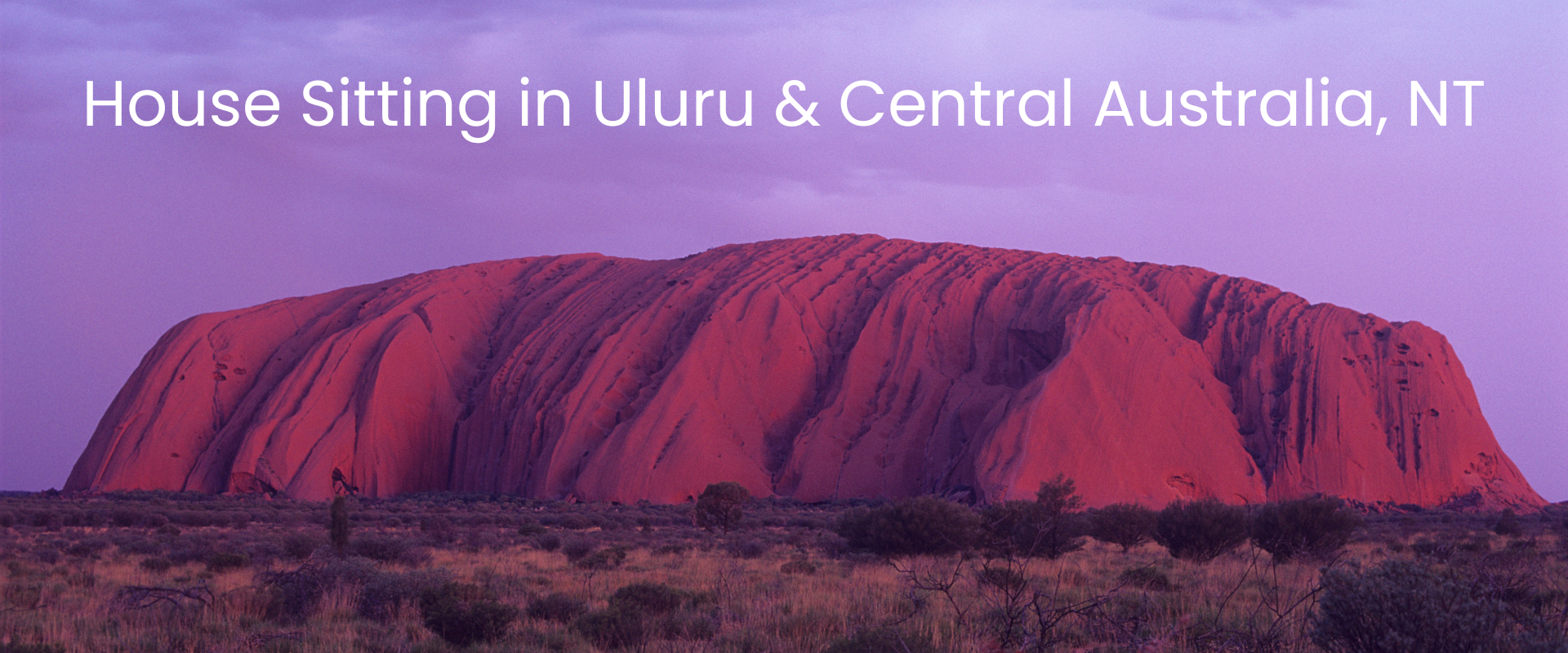 house-sitting-uluru-central-australia-nt-guide House sitting in Uluru, Northern Territory – outback home with red desert views, native plants, and a peaceful rural setting