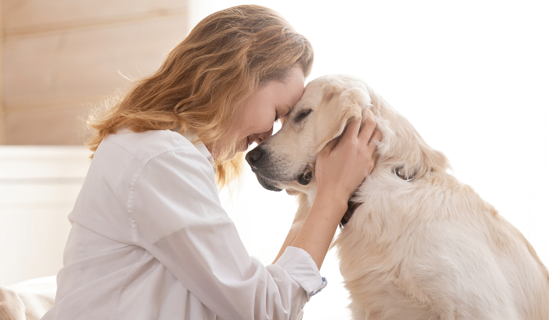 The Psychology of Trust in House Sitting