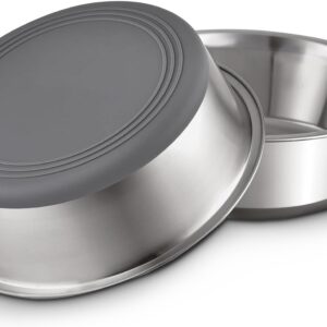 Stainless Steel Dog Bowls – 2 Pack (4 Cup)
