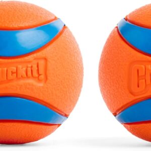 Chuckit! Ultra Ball 2 Pack