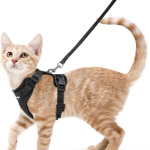 Cat Harness and Leash