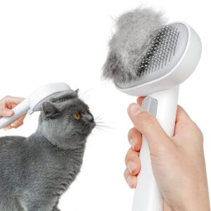 Cat Grooming