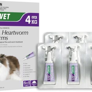 Neovet for Cats
