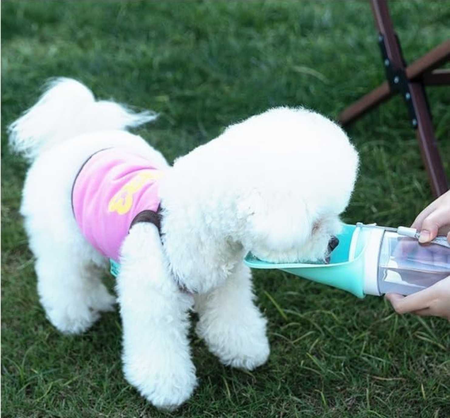 Portable dog water bottle with drinking cup and food container for travel and walks