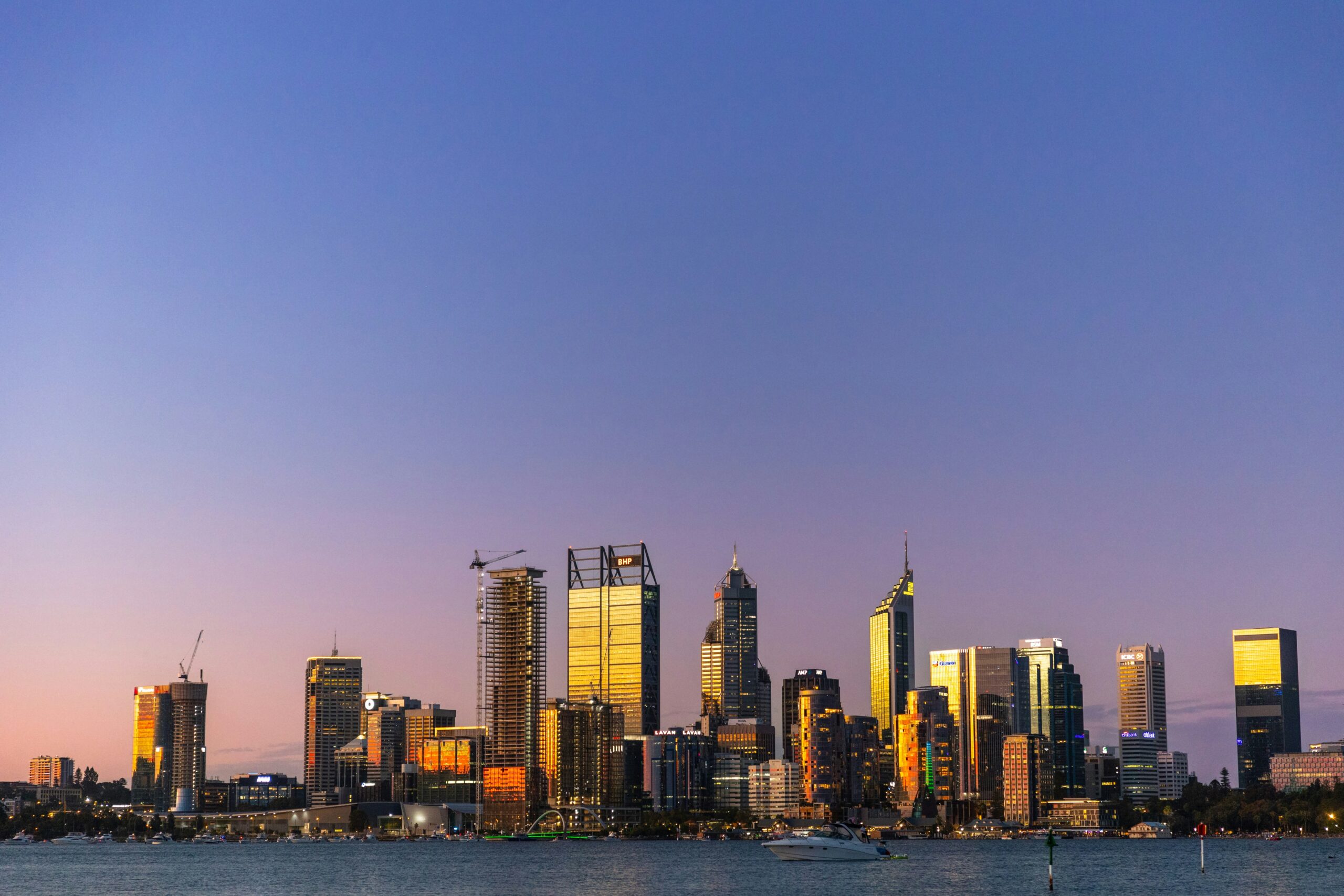 Birds resting by the Swan River, with Perth's skyline in the background